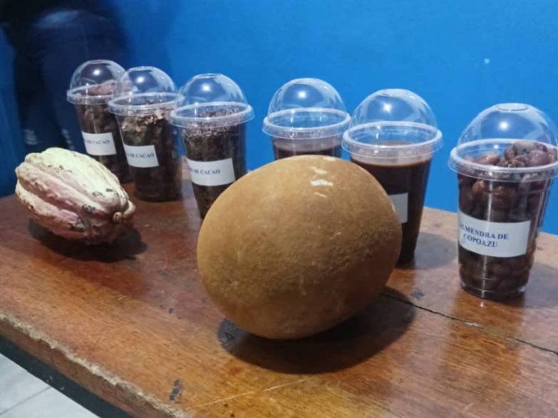 Escuela de Chocolateria Chejerú va a la escuela